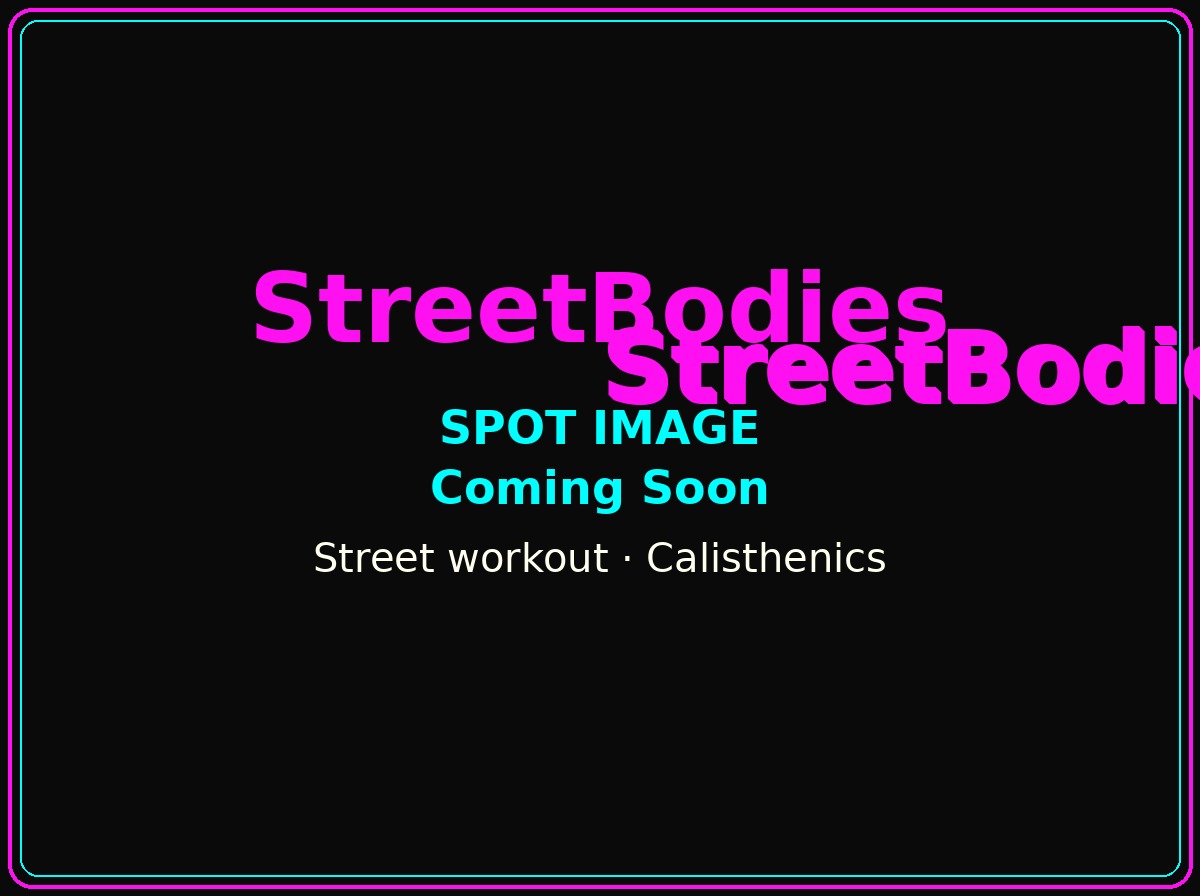 Parc de Street Workout