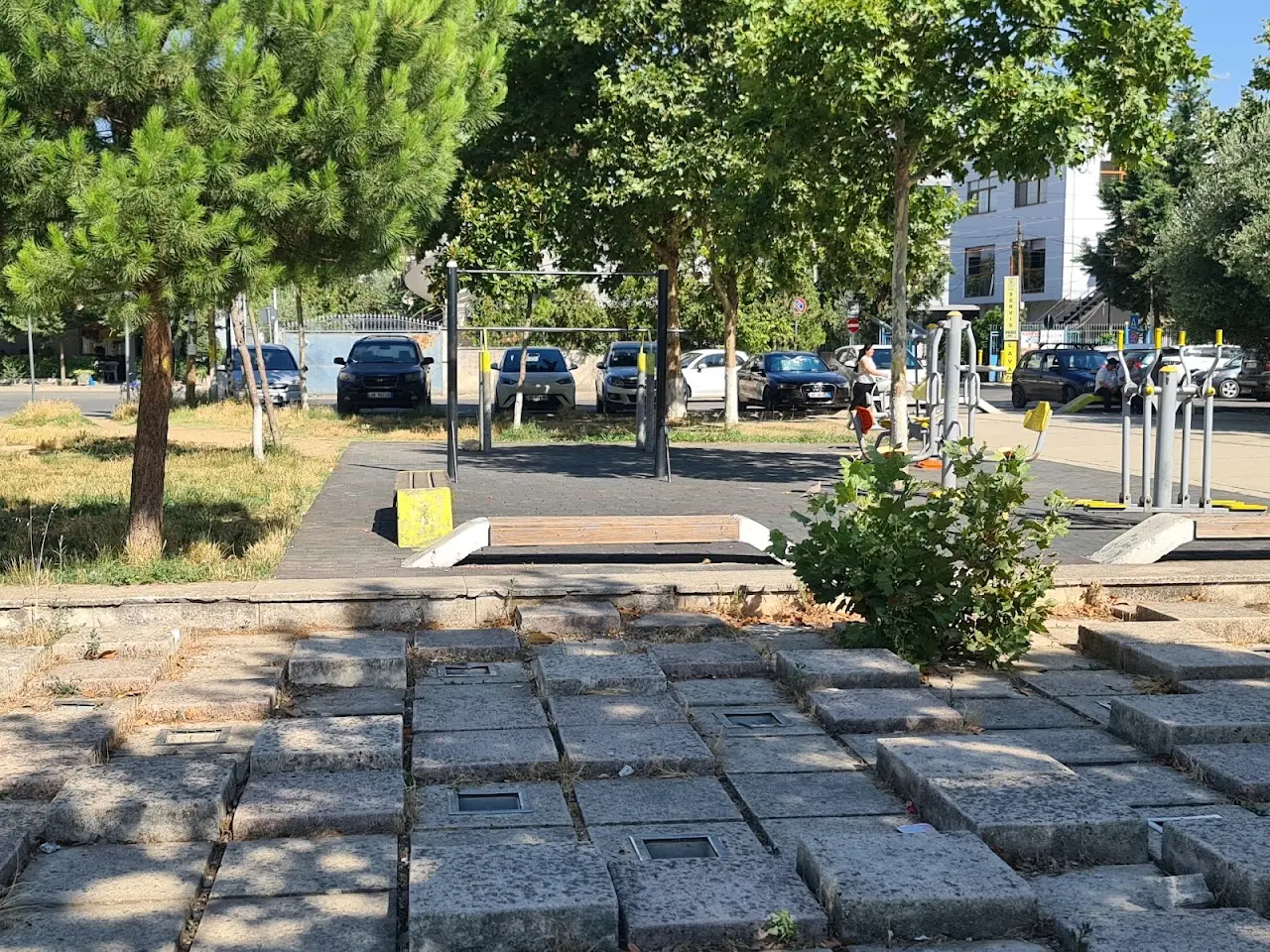 Outdoor gym calistenics