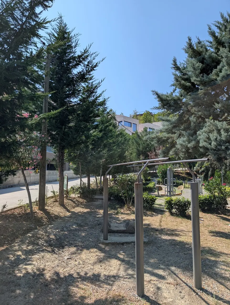 Parc de street workout ( calisthenics)
