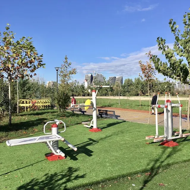 Outdoor Gym