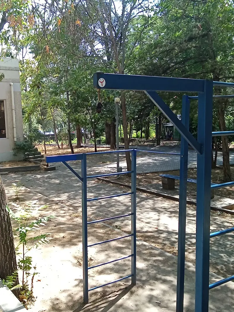 Outdoor Gym — Calisthenics