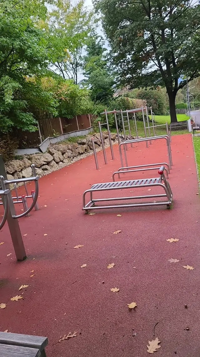 Calisthenics-Park Leoben