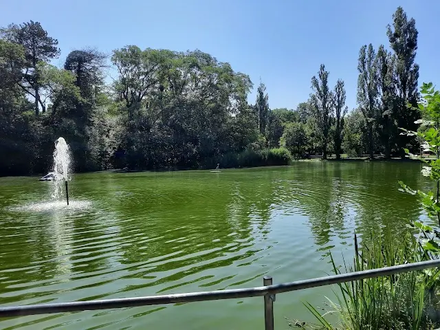 Zirkuswiese