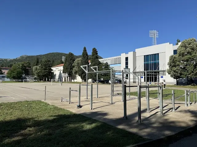 Street workout Calisthenics