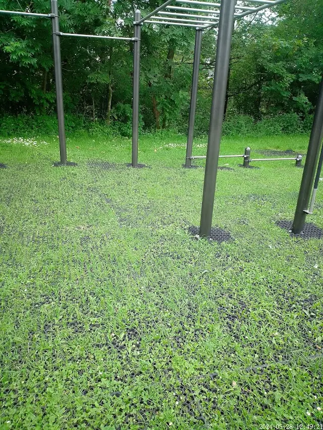 Calisthénie street workout