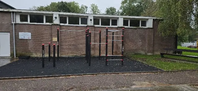 Street Workout Calisthenie
