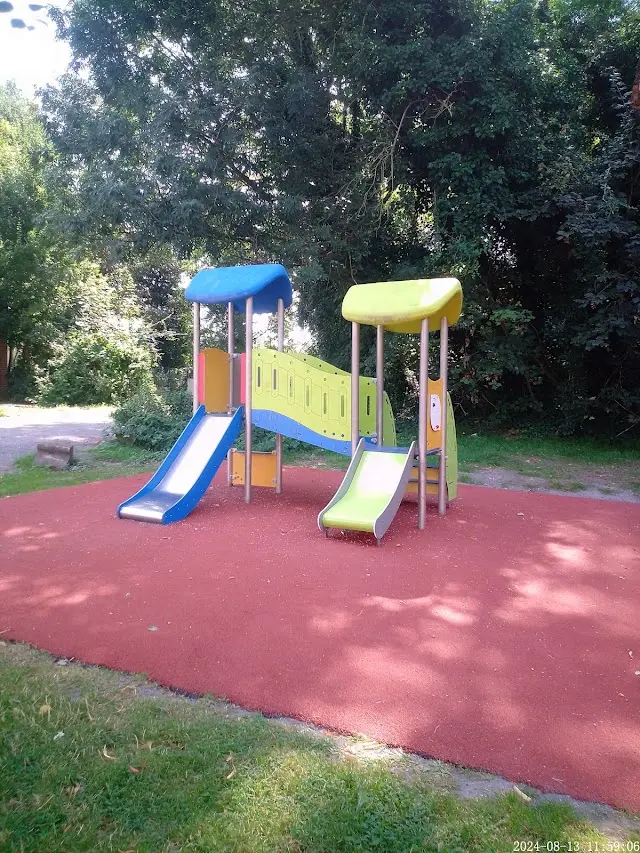 Street workout Calisthénie