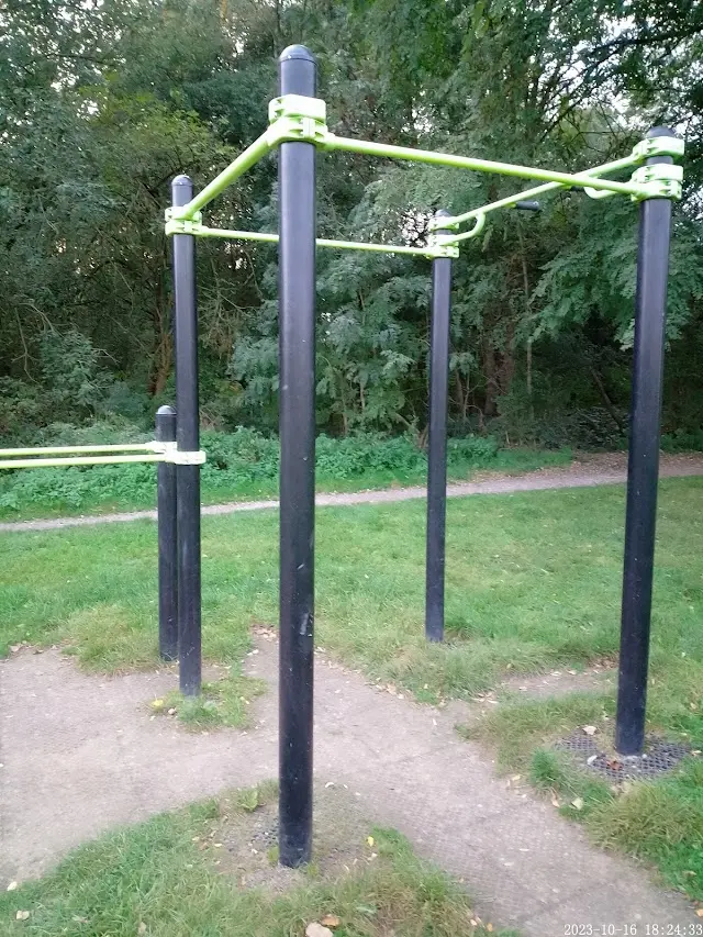 Street Workout Calisthenie