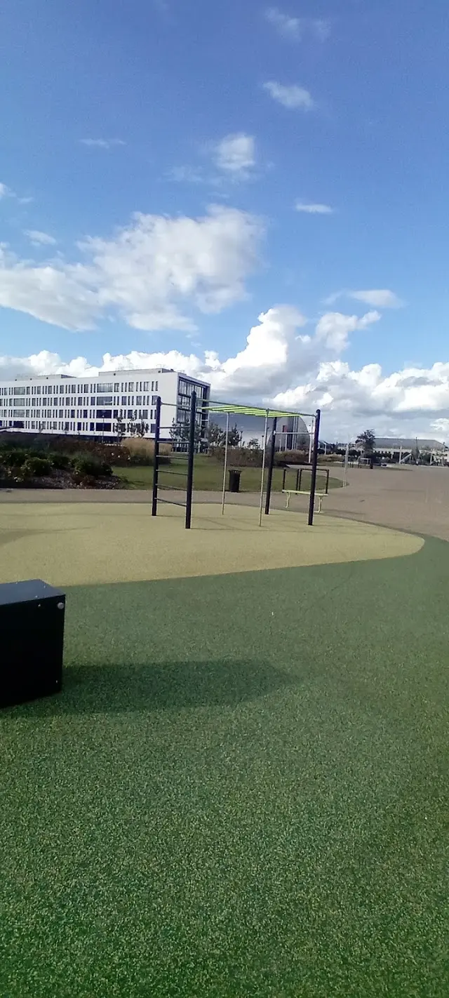 Street workout du parc