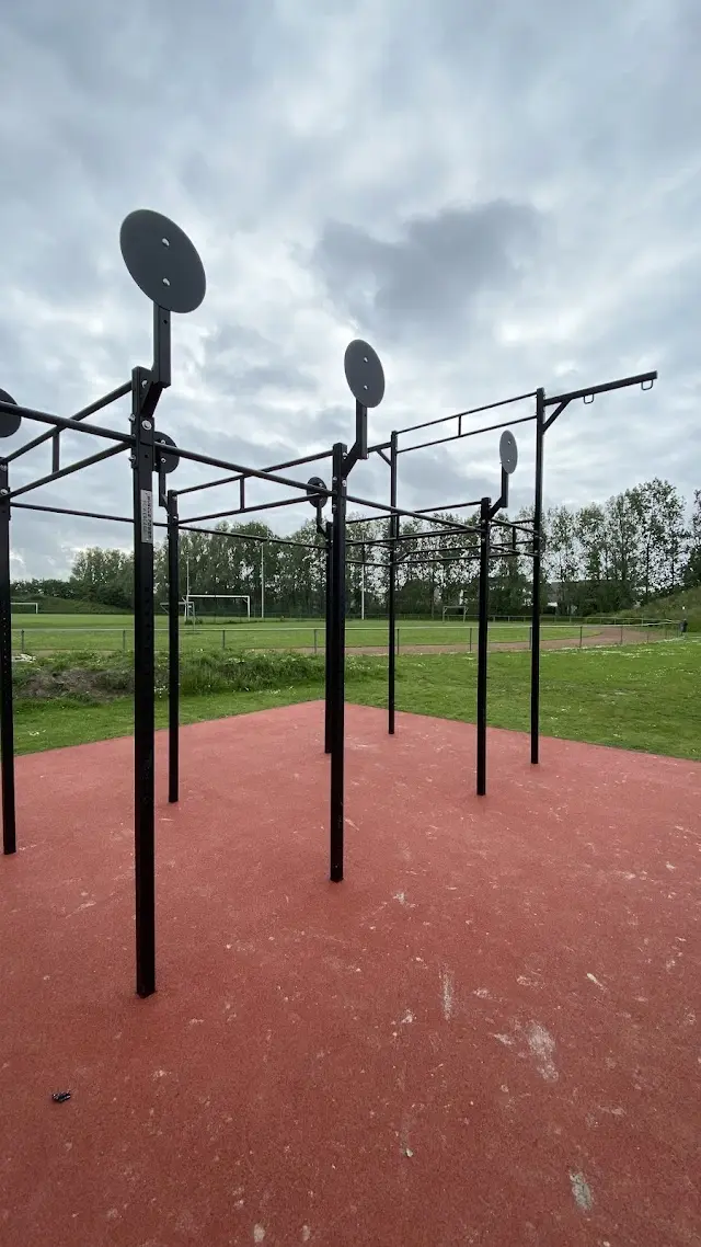 Street workout schorre