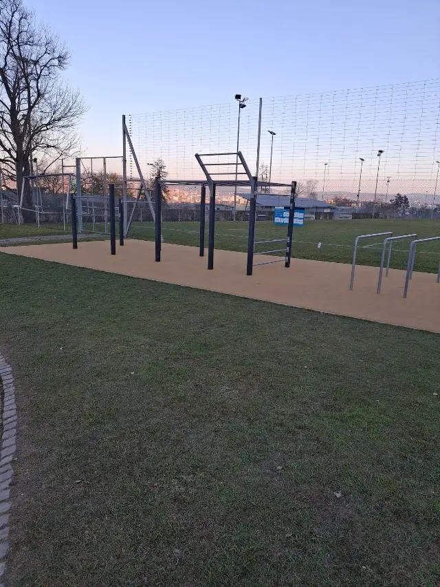 Zürifit Street Workout Calisthenics Park