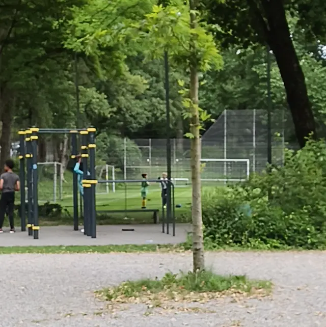 STREET WORKOUT PARK BERN BLACK&YELLOW