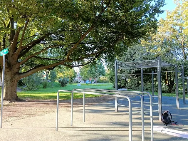 Street Workout Park Birsfelden Basel