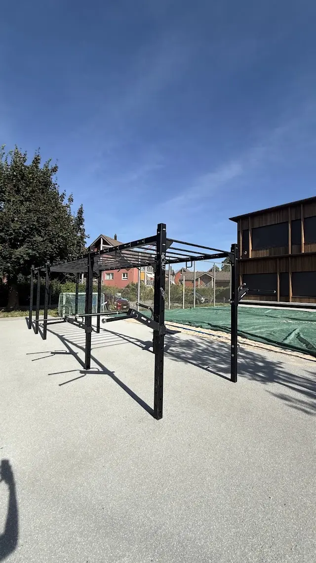 STREET WORKOUT THUN