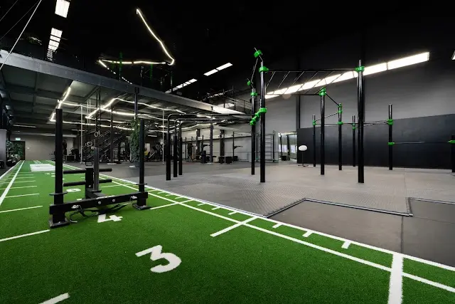 Bardogs Calisthenics Gym Zürich