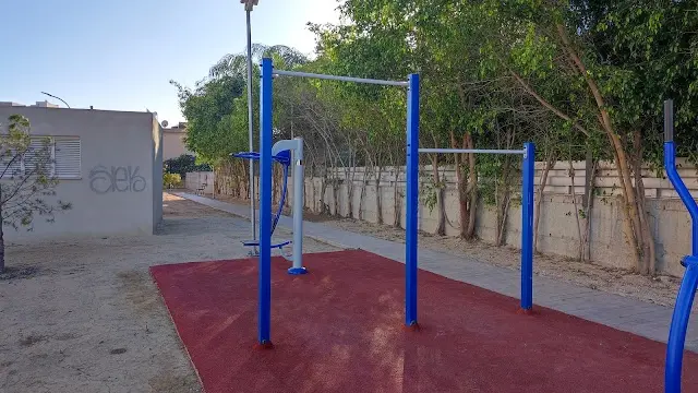 Calisthenics park