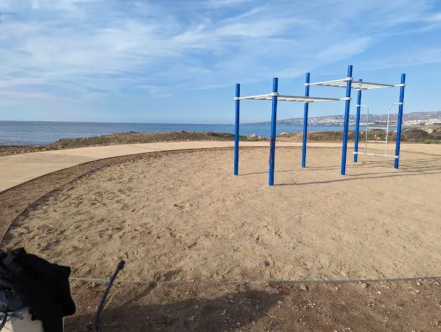 Calisthenics workout