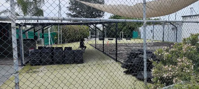 Ginger Street Workout Park