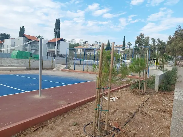 Workout calisthenics park