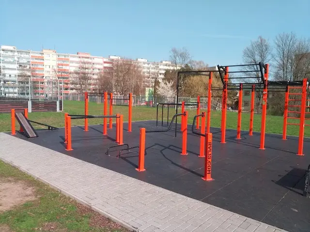 RVL13 Streetworkout Prosek