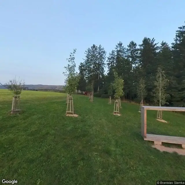 Street workout Liberec, lesopark