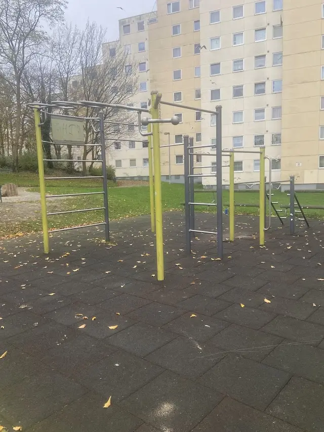 Calisthenics Park