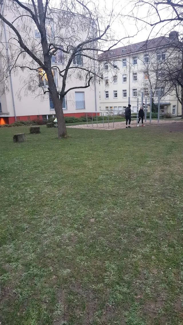 Calisthenics Park