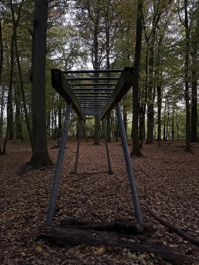Trimm dich Pfad / Calisthenics