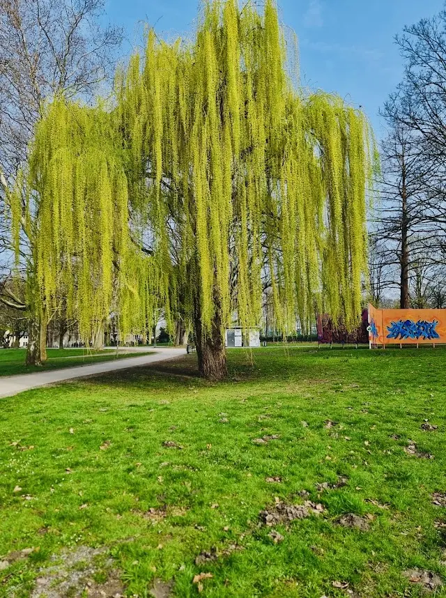 Original Bootcamp – Outdoor Fitness | Paderwiesen Paderborn