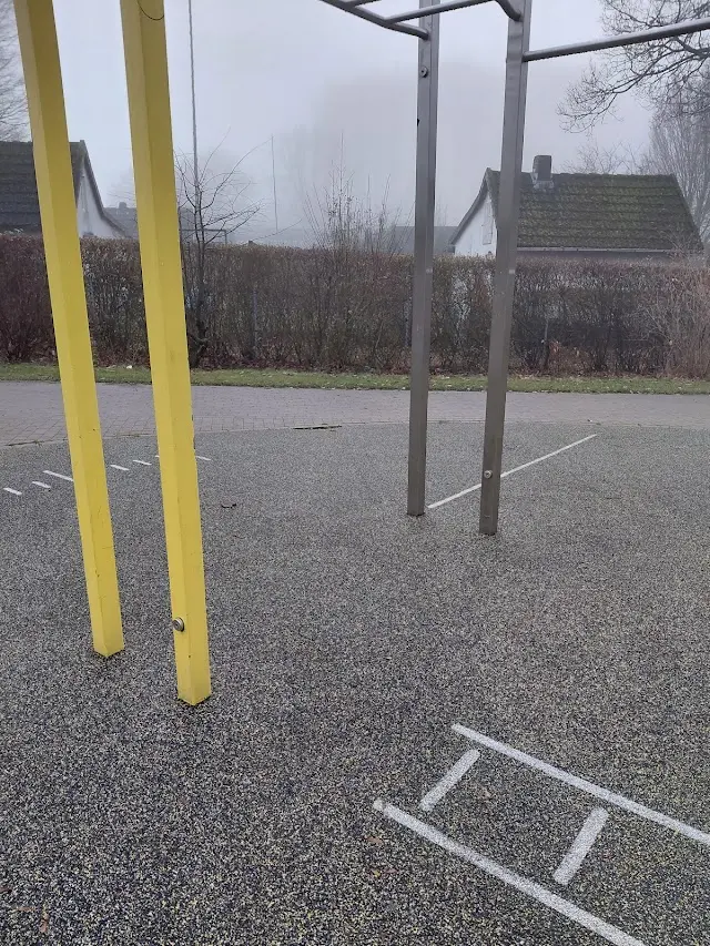 Calisthenics Park Omid