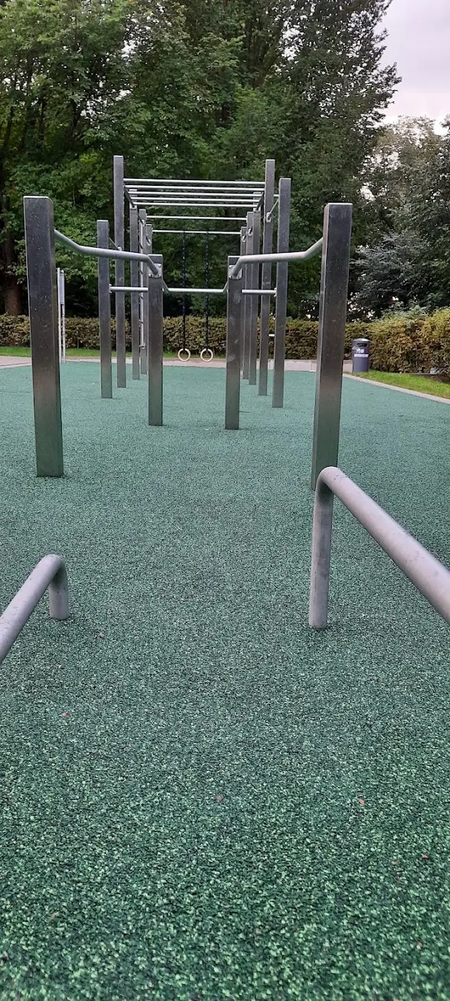 Calisthenics im Werftpark
