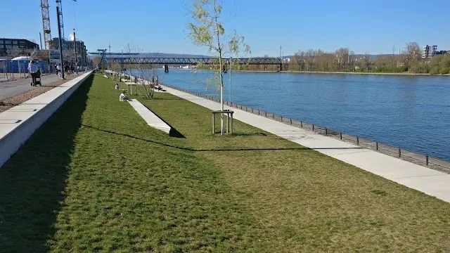 Calisthenics Park