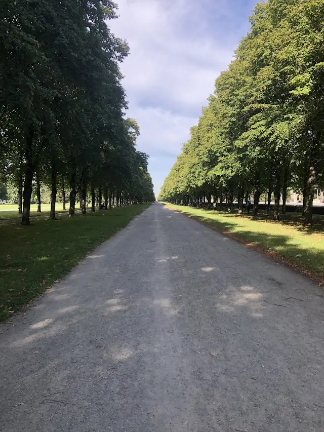 Original Bootcamp - Outdoor Fitness | im Georgengarten