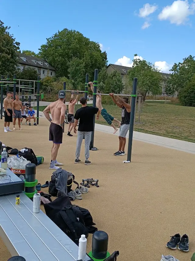Calisthenics Anlage Platenstraße
