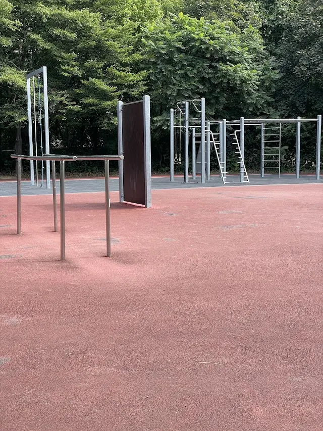 Calisthenics Bürgerpark