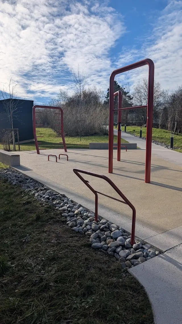 Outdoor Fitness