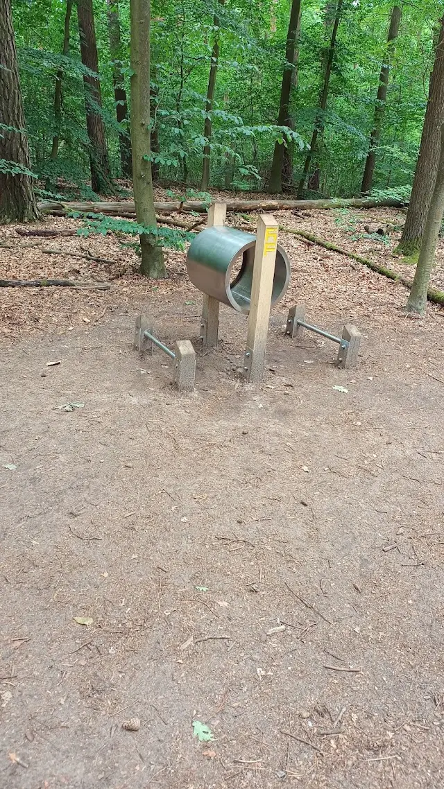Trimm-dich-Pfad Rücken-Trainer Station