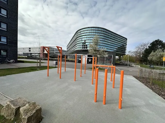 Calisthenics Park