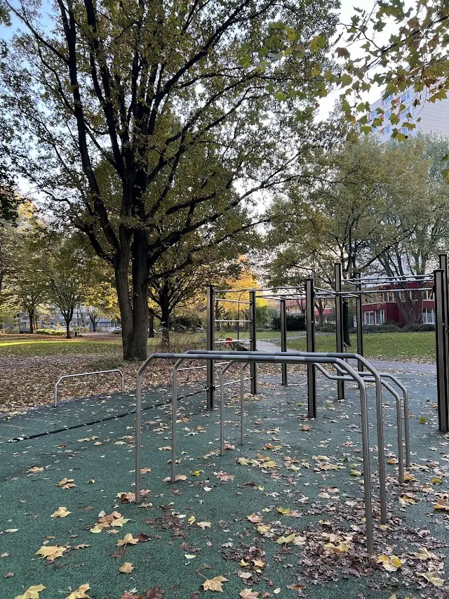 Calisthenics Park