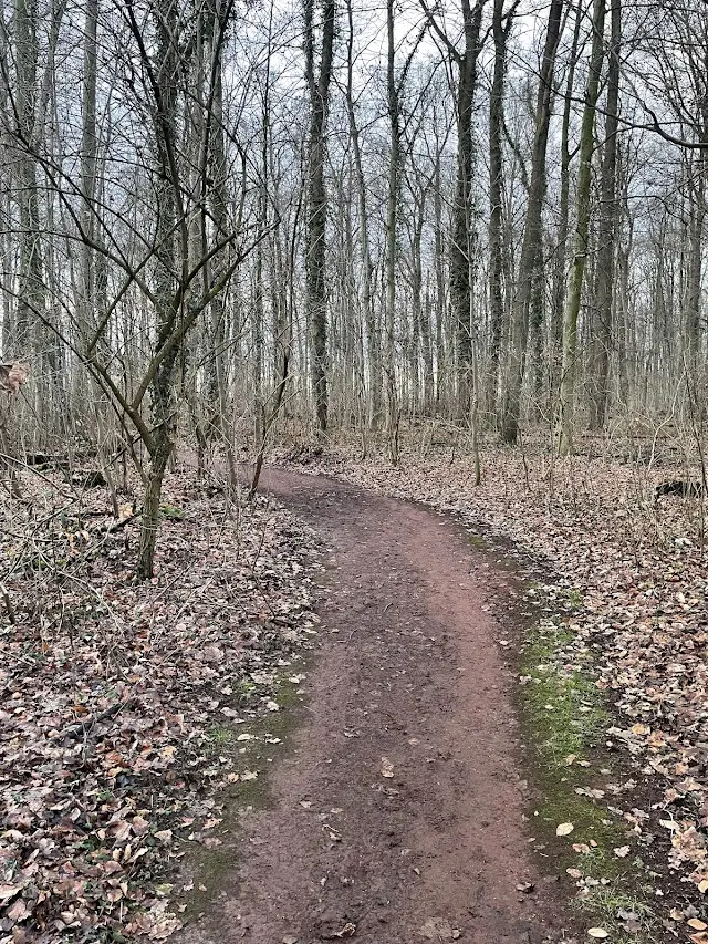 Trimm-Dich-Pfad