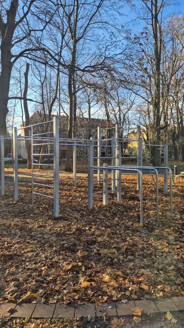 Cali38 - Calisthenics Braunschweig