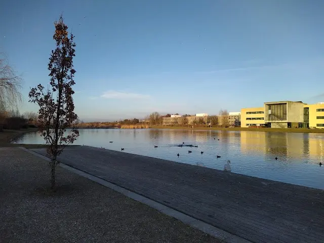 Trekroner sø