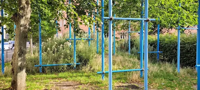Street Workout /Rings Park