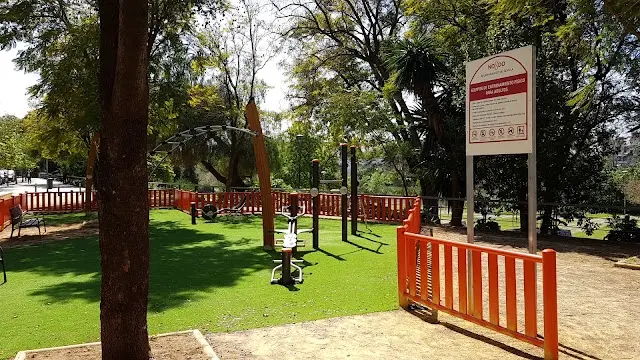 Calistenia Street Workout