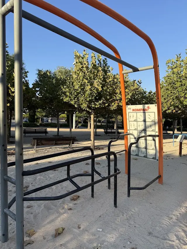 Parque de calistenia Juan Carlos I