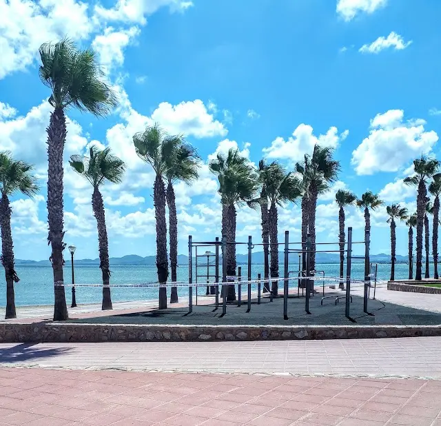Parque Calistenia Las Palmeras