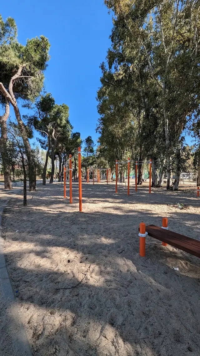 Street Workout - Calistenia
