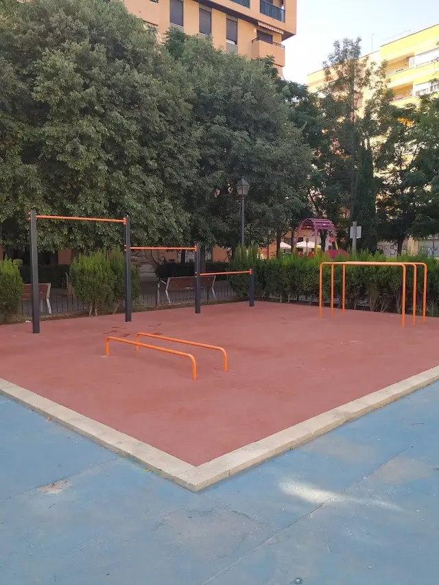 Parque de Calistenia Patraix