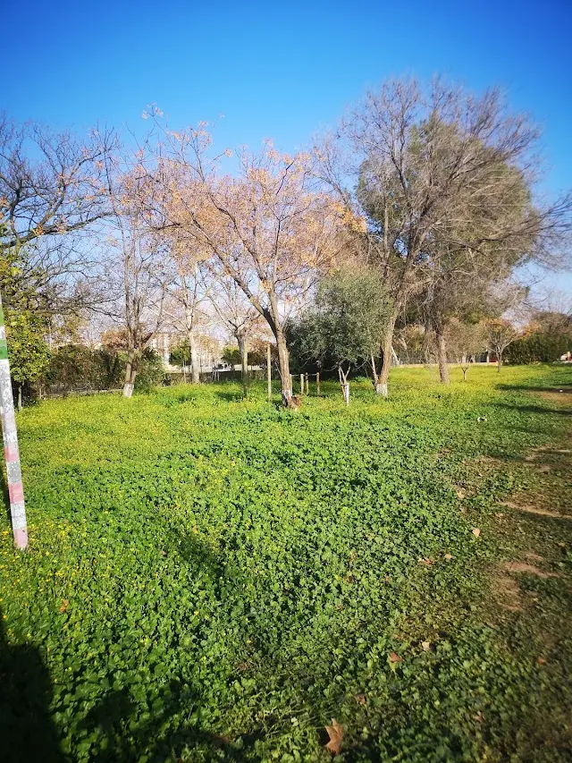 Parque Calistenia