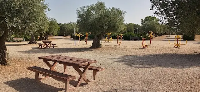 Zona Calistenia